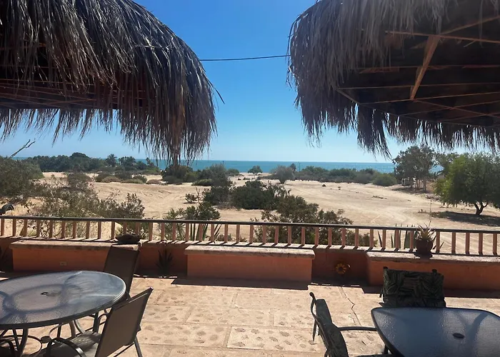 Ocotillo Del Mar